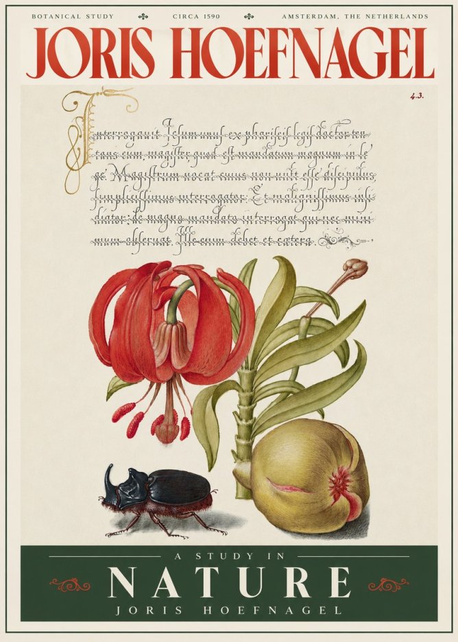 Joris Hoefnagel Botanical Study II No4 - Juliste