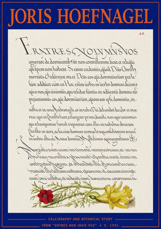 Joris Hoefnagel Calligraphy and Botanical Study I No3 - Juliste