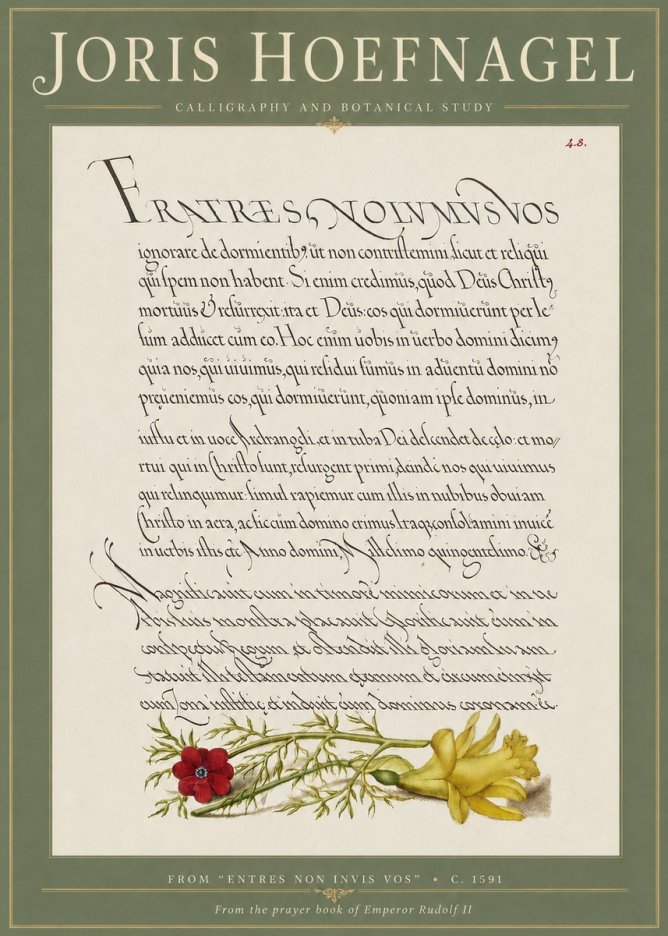 Joris Hoefnagel Calligraphy and Botanical Study I No4 - Juliste