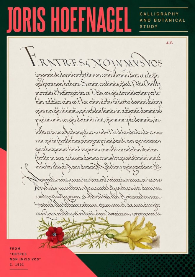 Joris Hoefnagel Calligraphy and Botanical Study I No5 - Juliste