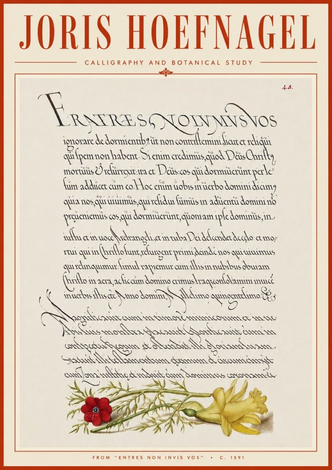 Joris Hoefnagel Calligraphy and Botanical Study I No6 - Juliste