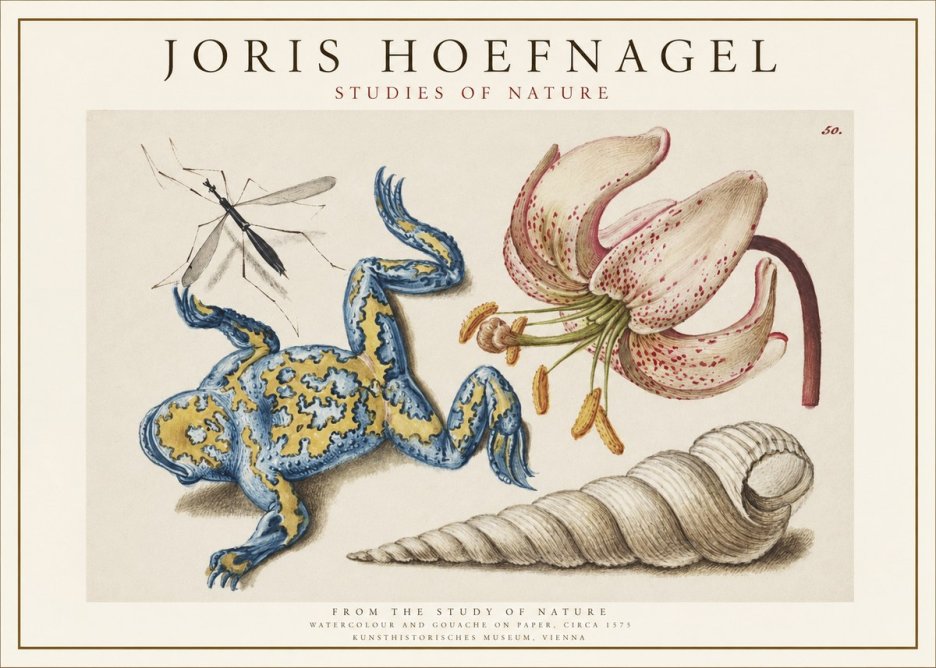 Joris Hoefnagel From the Study of Nature No1 - Juliste