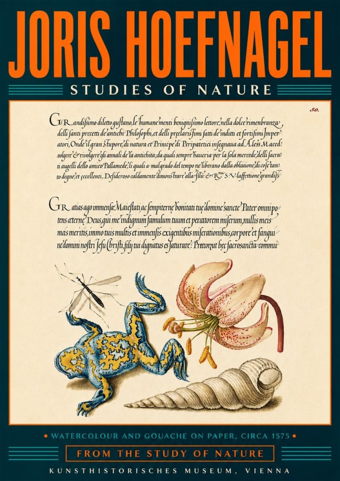 Joris Hoefnagel From the Study of Nature No5 - Juliste