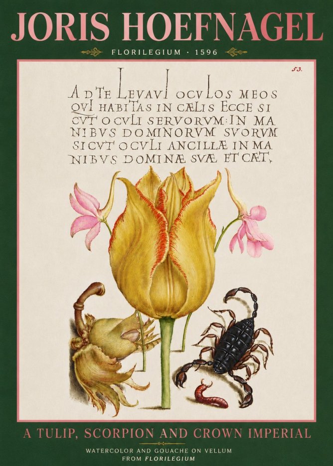 Joris Hoefnagel A Tulip, Scorpion and Crown Imperial No3 - Juliste
