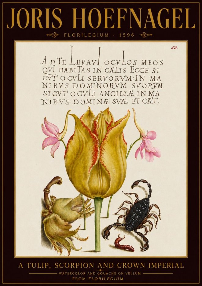 Joris Hoefnagel A Tulip, Scorpion and Crown Imperial No5 - Juliste