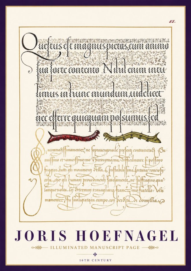 Joris Hoefnagel Illuminated Manuscript Page I No3 - Juliste