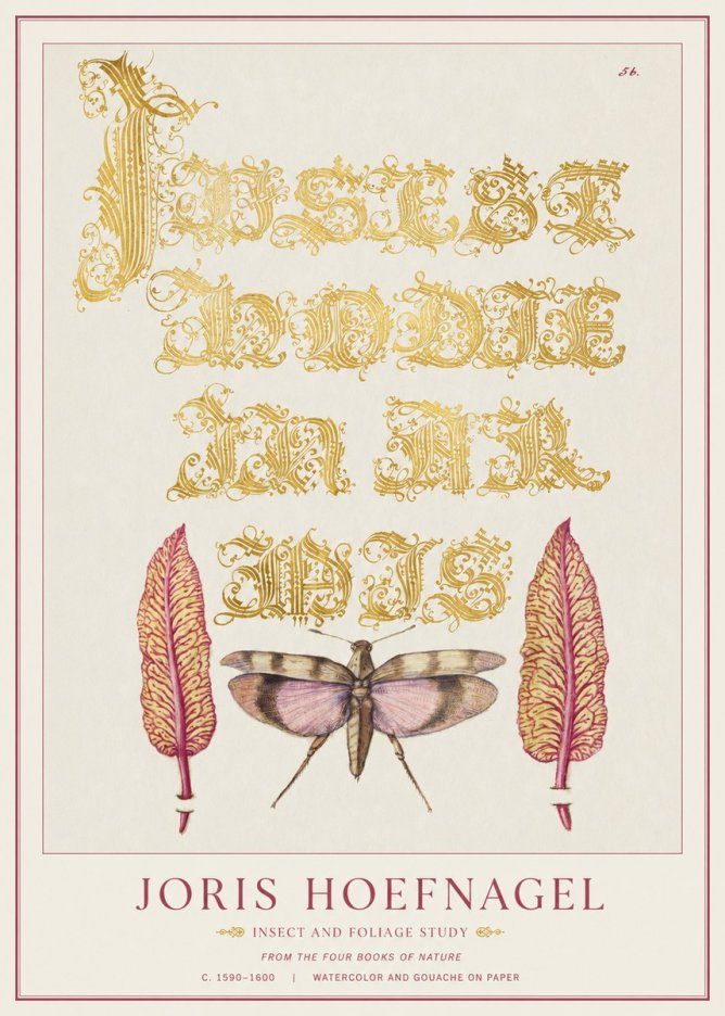 Joris Hoefnagel Insect and Foliage Study No1 - Juliste