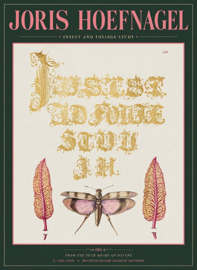Joris Hoefnagel Insect and Foliage Study No2 - Juliste