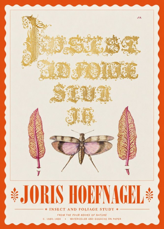 Joris Hoefnagel Insect and Foliage Study No3 - Juliste