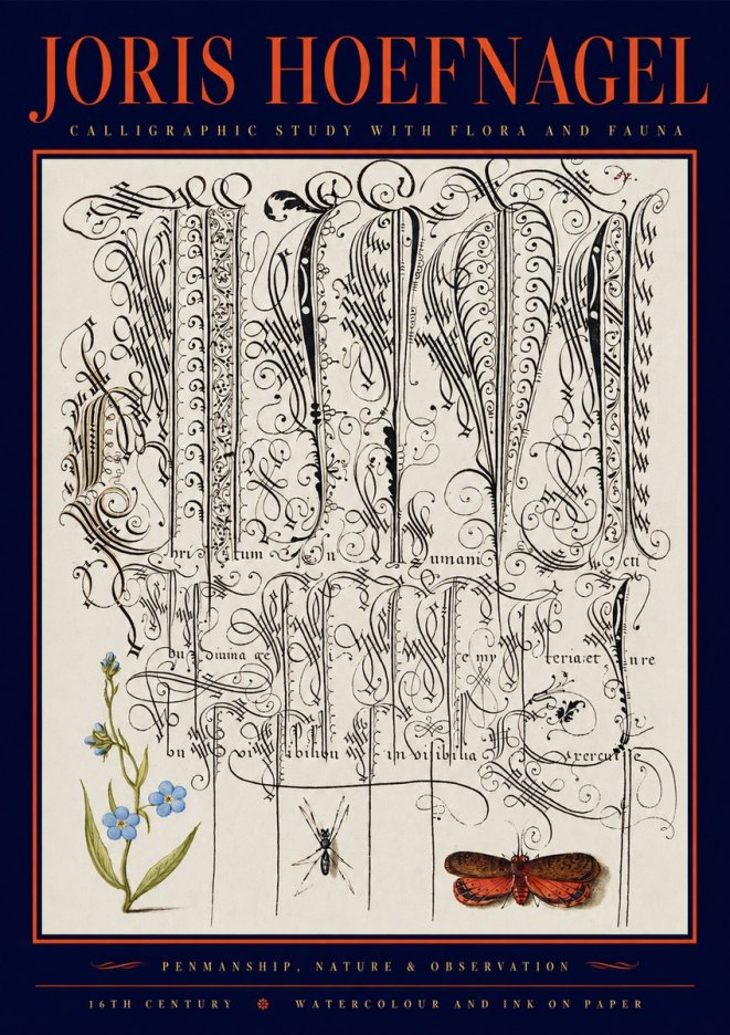 Joris Hoefnagel Calligraphic Study with Flora and Fauna No2 - Juliste
