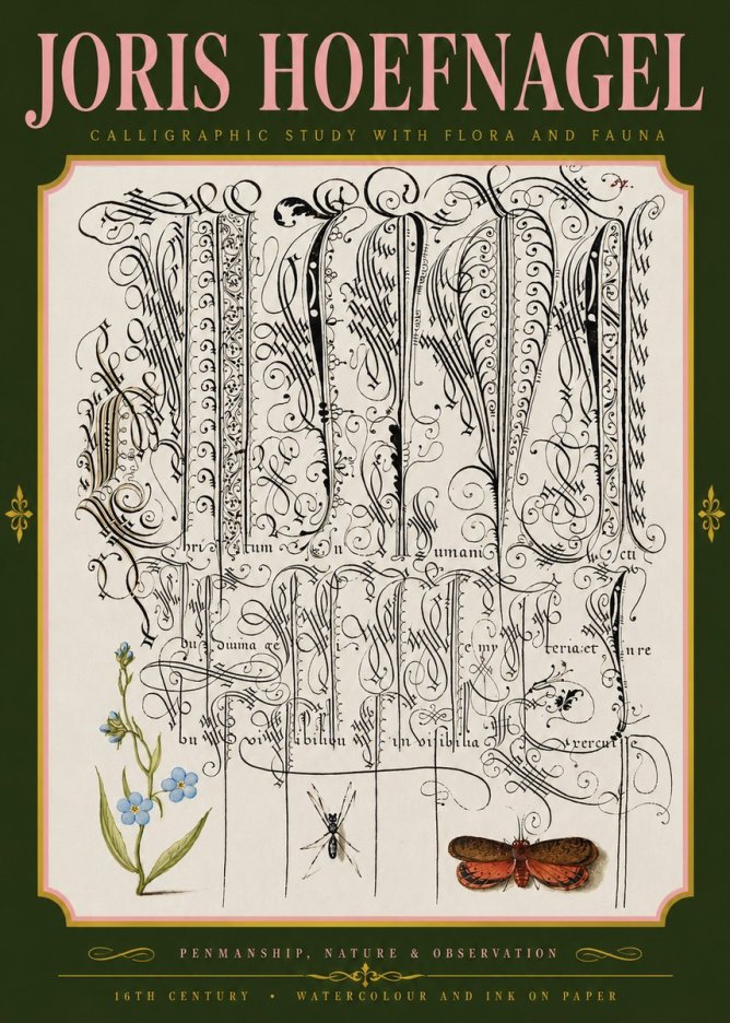 Joris Hoefnagel Calligraphic Study with Flora and Fauna No4 - Juliste
