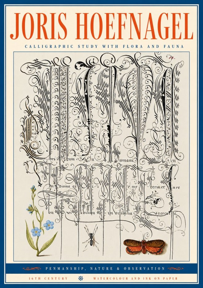 Joris Hoefnagel Calligraphic Study with Flora and Fauna No5 - Juliste
