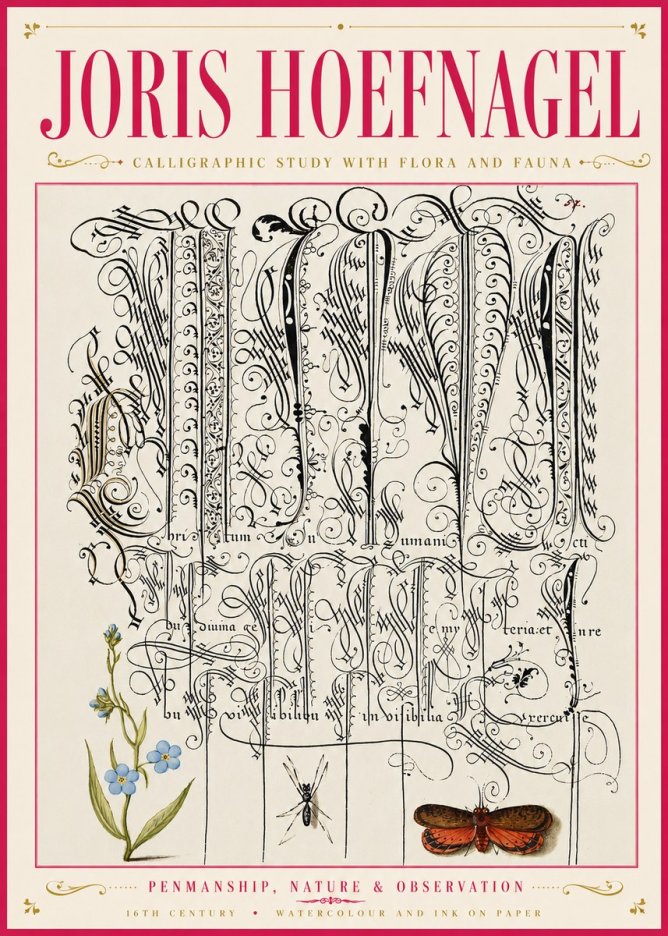 Joris Hoefnagel Calligraphic Study with Flora and Fauna No6 - Juliste