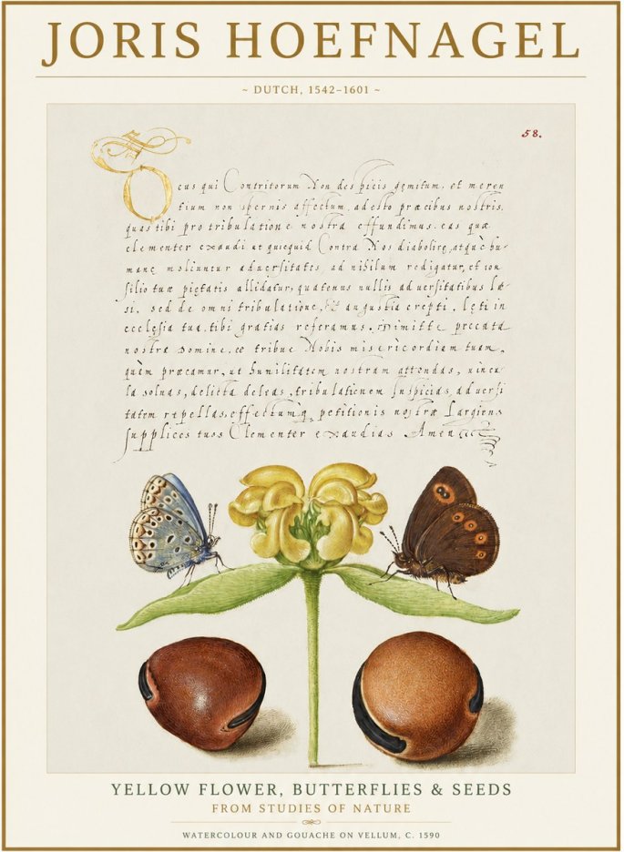 Joris Hoefnagel Yellow Flower, Butterflies & Seeds No1 - Juliste