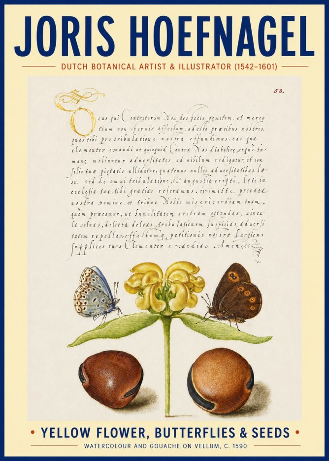 Joris Hoefnagel Yellow Flower, Butterflies & Seeds No3 - Juliste