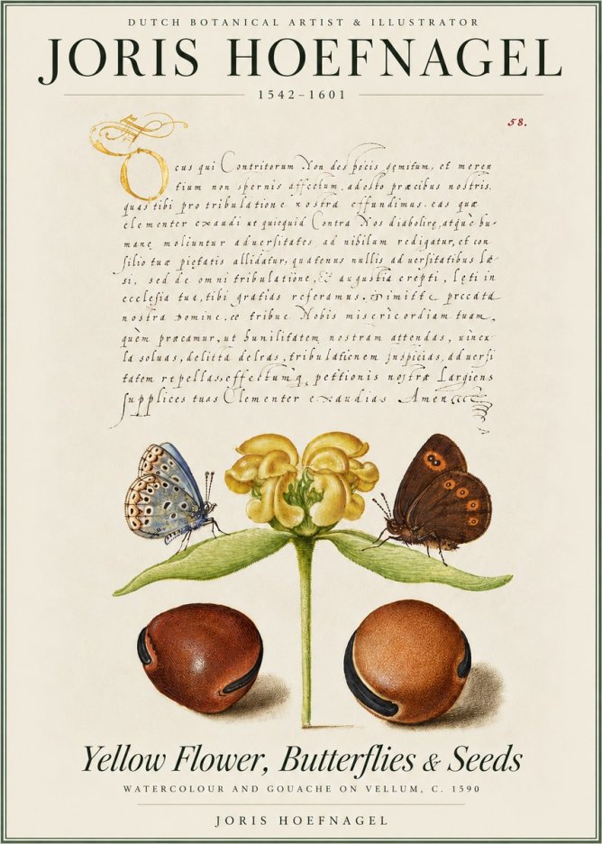Joris Hoefnagel Yellow Flower, Butterflies & Seeds No4 - Juliste
