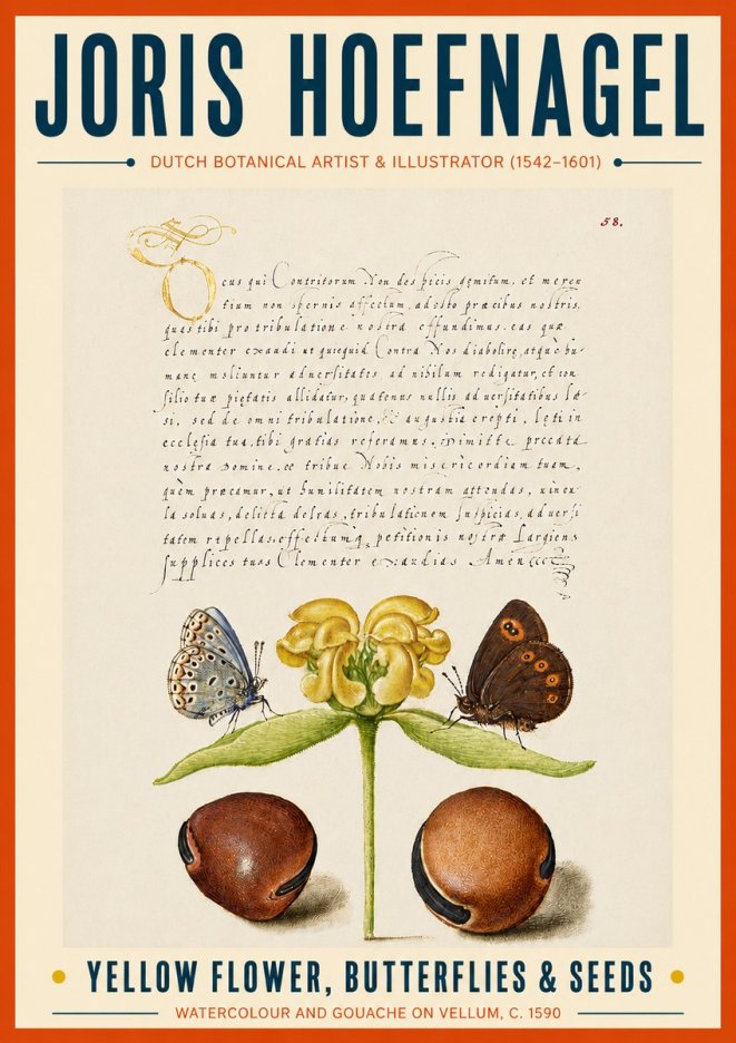 Joris Hoefnagel Yellow Flower, Butterflies & Seeds No6 - Juliste