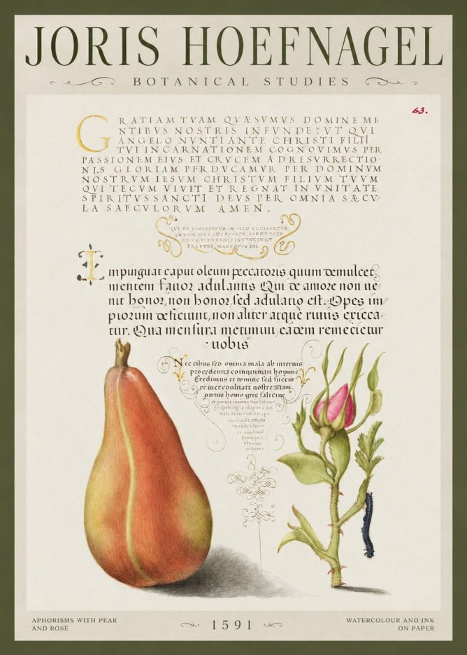 Joris Hoefnagel Aphorisms with Pear and Rose No1 - Juliste