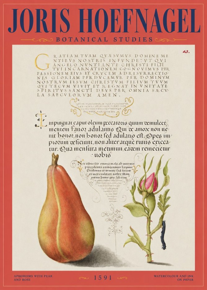 Joris Hoefnagel Aphorisms with Pear and Rose No2 - Juliste