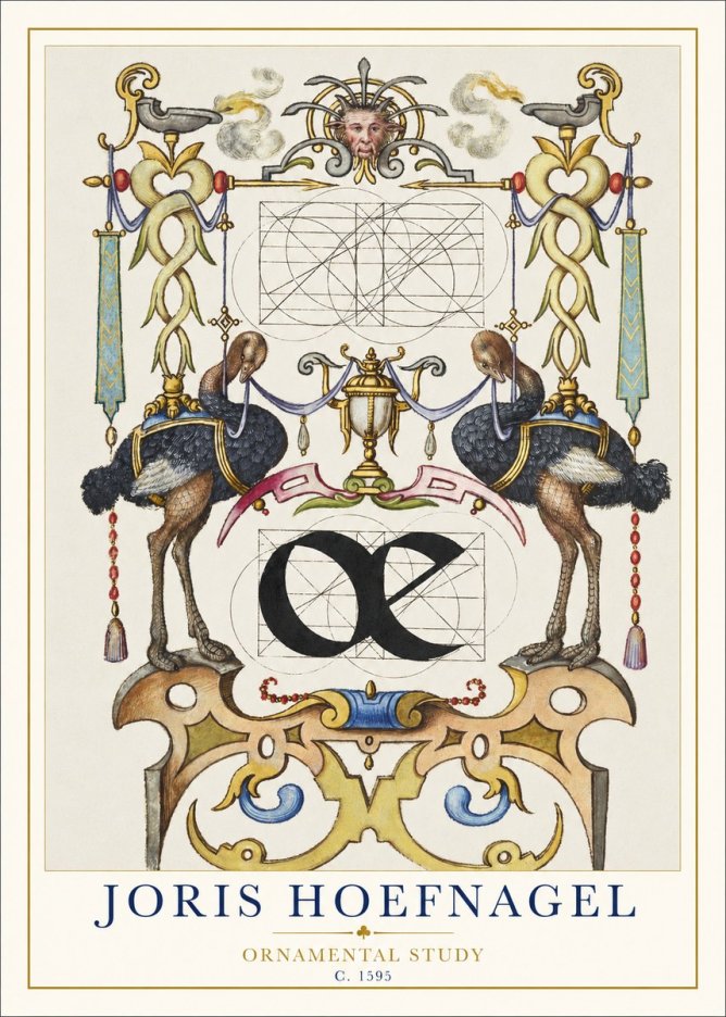 Joris Hoefnagel Ornamental Study I No1 - Juliste