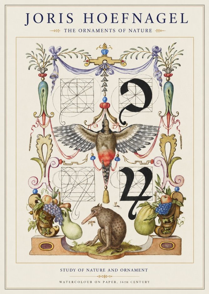 Joris Hoefnagel Study of Nature and Ornament No1 - Juliste