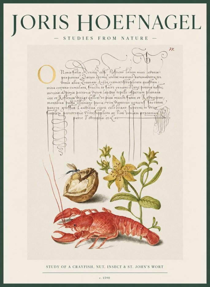 Joris Hoefnagel Studies from Nature No2 - Juliste