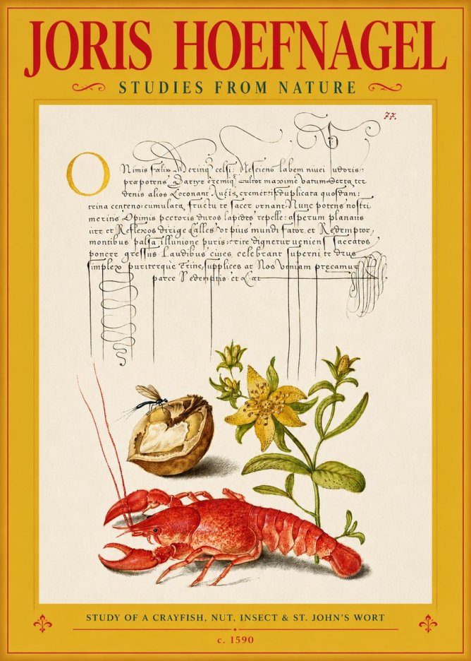 Joris Hoefnagel Studies from Nature No3 - Juliste