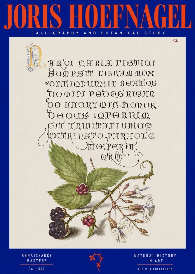 Joris Hoefnagel Calligraphy and Botanical Study II No2 - Juliste