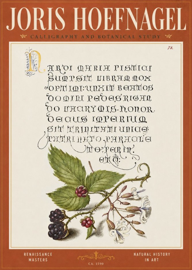 Joris Hoefnagel Calligraphy and Botanical Study II No4 - Juliste