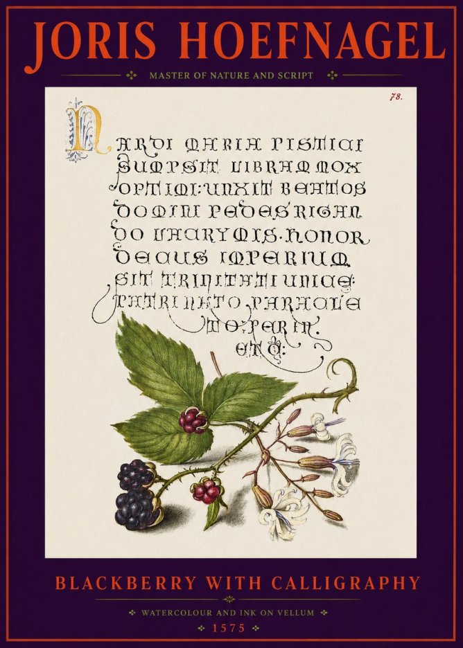 Joris Hoefnagel Calligraphy and Botanical Study II No6 - Juliste