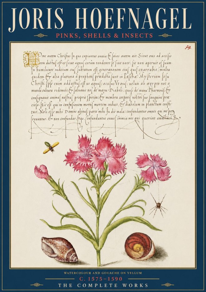 Joris Hoefnagel Pinks, Shells & Insects No5 - Juliste
