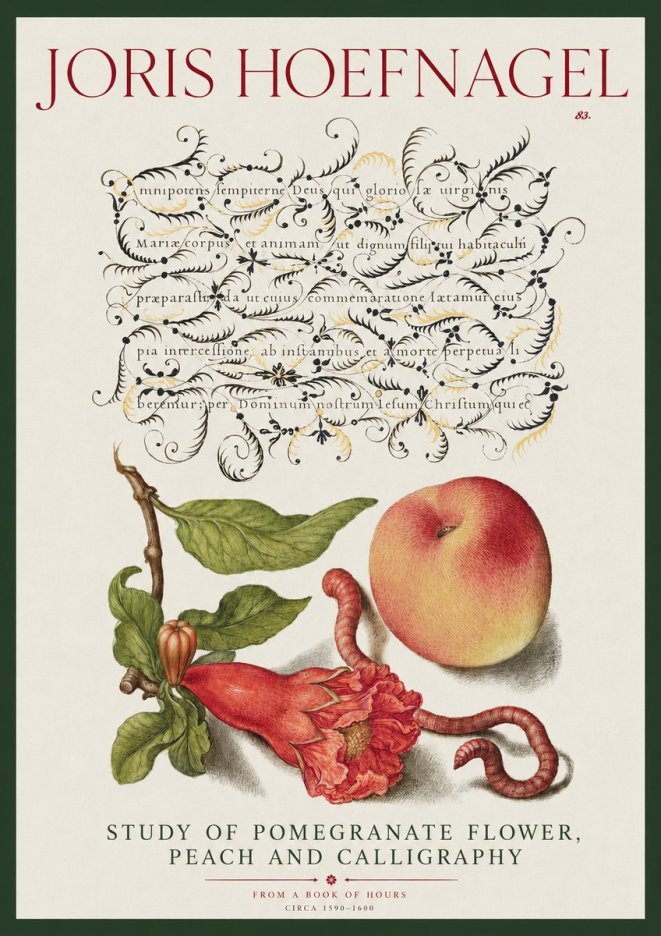 Joris Hoefnagel Study of Pomegranate Flower, Peach and Calligraphy from a Book of Hours No2 - Juliste