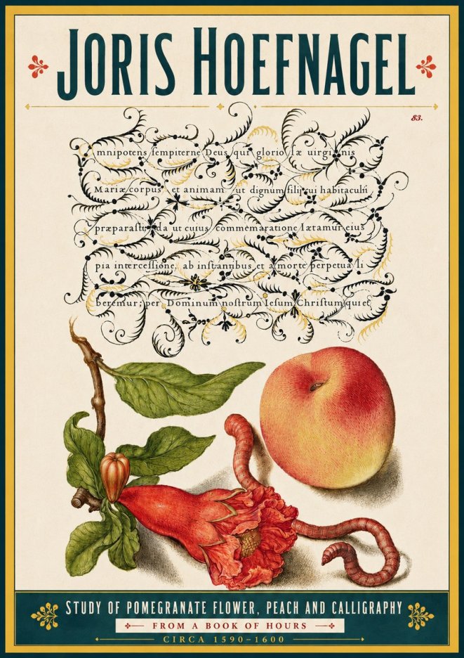 Joris Hoefnagel Study of Pomegranate Flower, Peach and Calligraphy from a Book of Hours No5 - Juliste