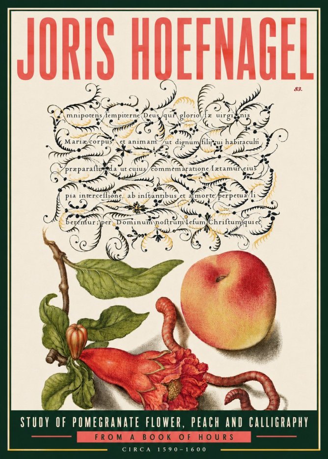 Joris Hoefnagel Study of Pomegranate Flower, Peach and Calligraphy from a Book of Hours No6 - Juliste