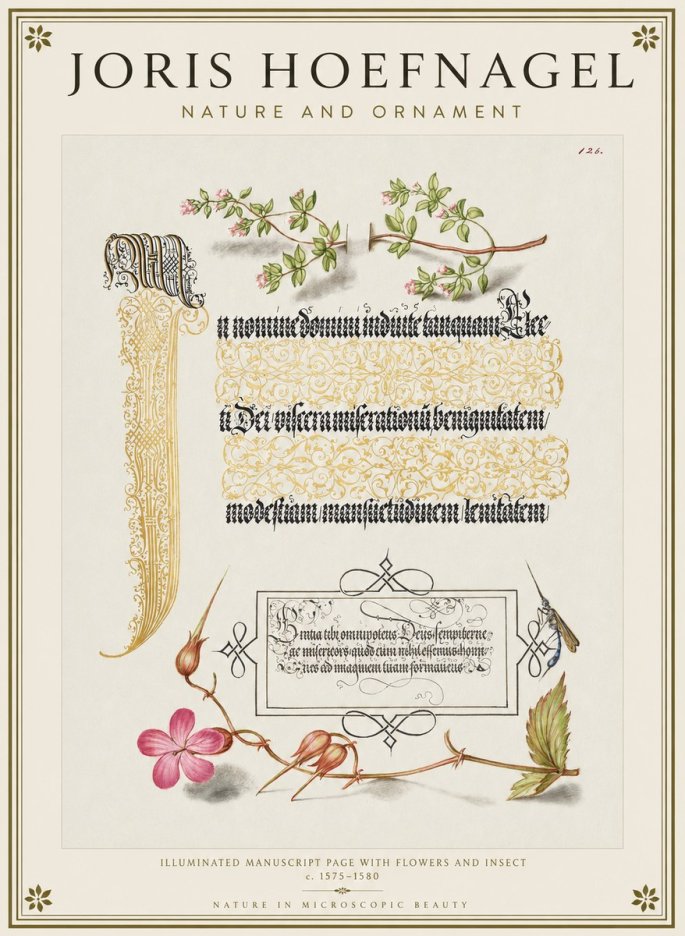 Joris Hoefnagel Illuminated Manuscript Page with Flowers and Insect No1 - Juliste