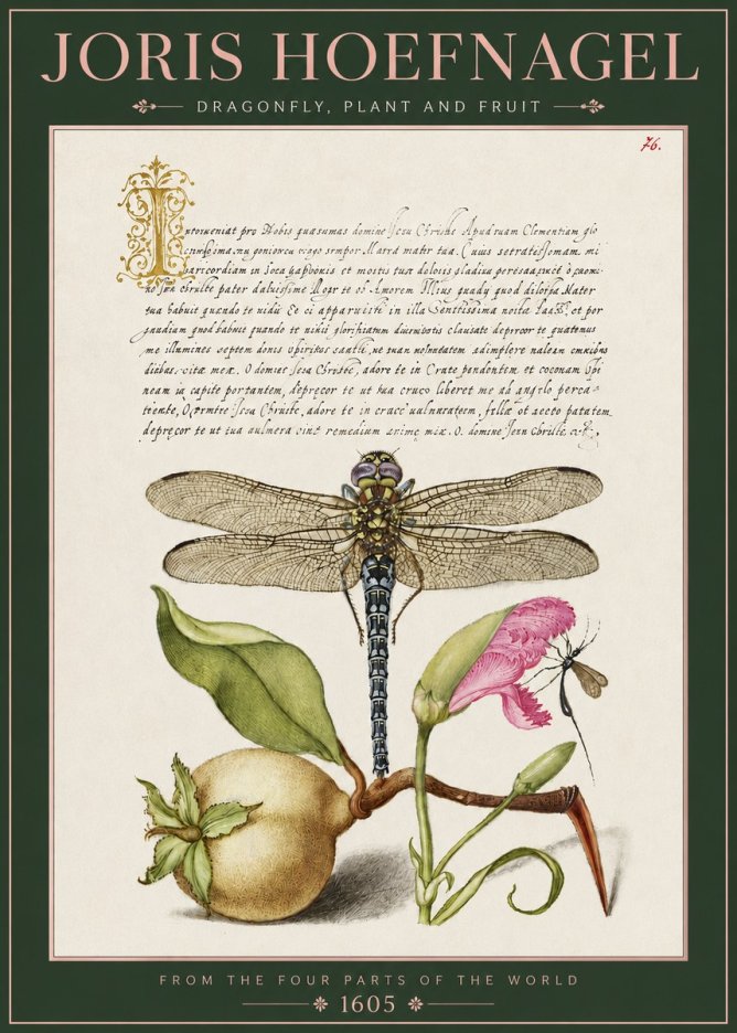 Joris Hoefnagel Dragonfly, Plant and Fruit No3 - Juliste