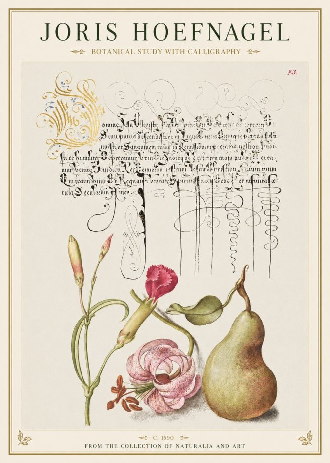 Joris Hoefnagel Botanical Study with Calligraphy II No1 - Juliste