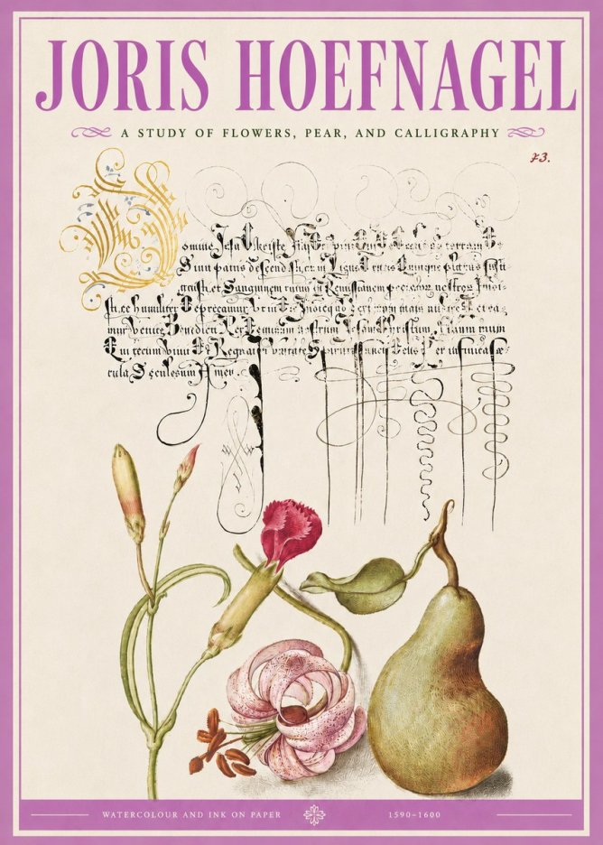Joris Hoefnagel Botanical Study with Calligraphy II No5 - Juliste
