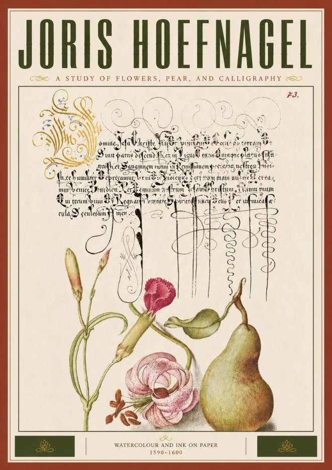 Joris Hoefnagel Botanical Study with Calligraphy II No6 - Juliste