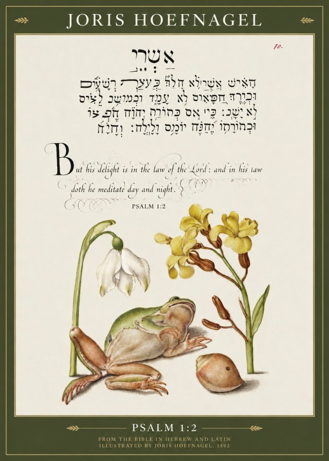 Joris Hoefnagel Psalm 1:2 No1 - Juliste