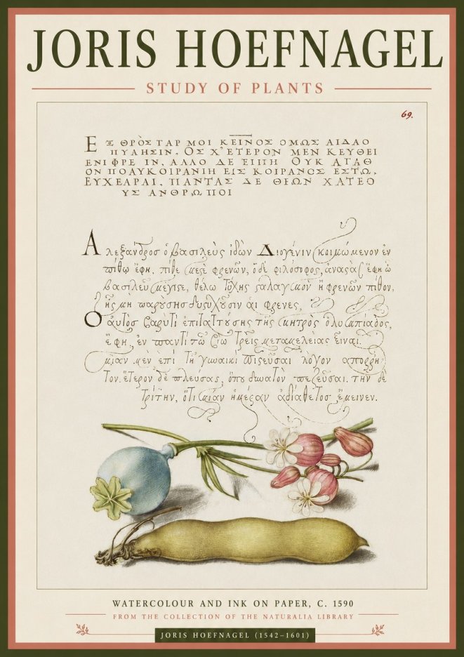 Joris Hoefnagel Study of Plants I No3 - Juliste