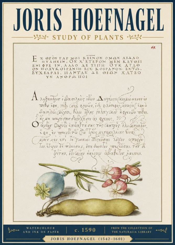 Joris Hoefnagel Study of Plants I No4 - Juliste