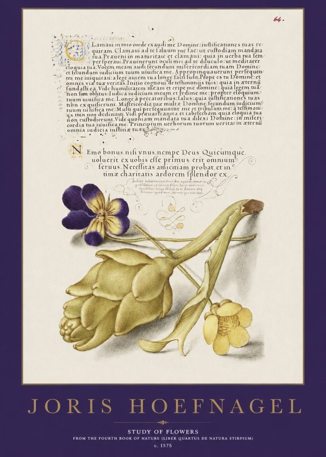 Joris Hoefnagel Botanical Study with Calligraphy III No3 - Juliste
