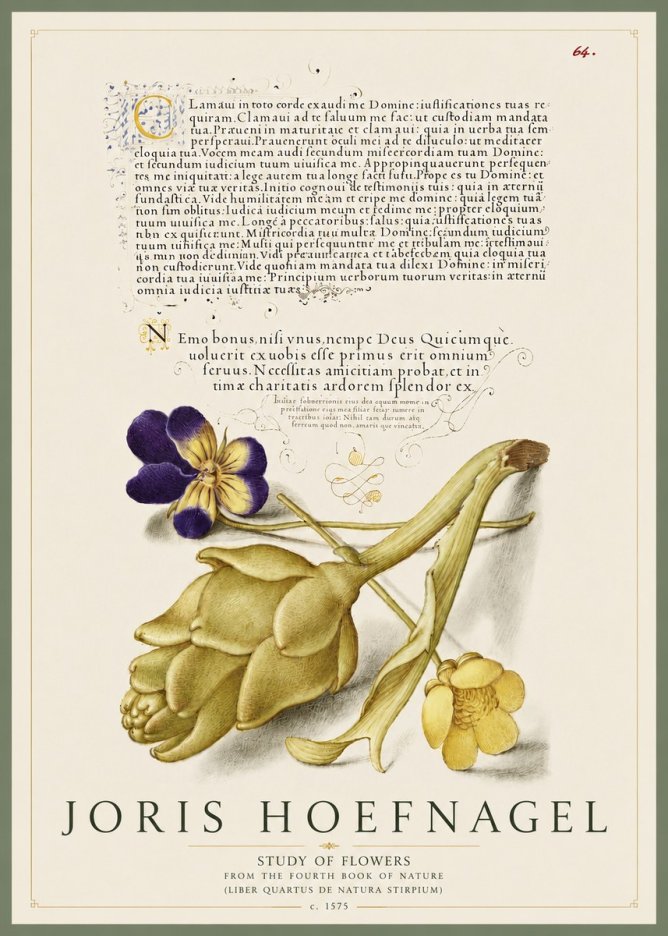 Joris Hoefnagel Botanical Study with Calligraphy III No5 - Juliste