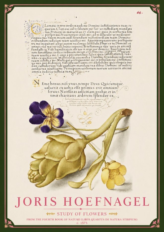 Joris Hoefnagel Botanical Study with Calligraphy III No6 - Juliste