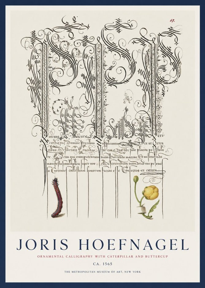 Joris Hoefnagel Ornamental Calligraphy with Caterpillar and Buttercup No1 - Juliste