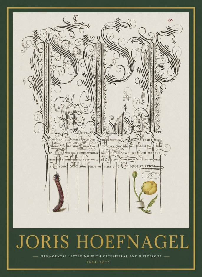 Joris Hoefnagel Ornamental Calligraphy with Caterpillar and Buttercup No2 - Juliste