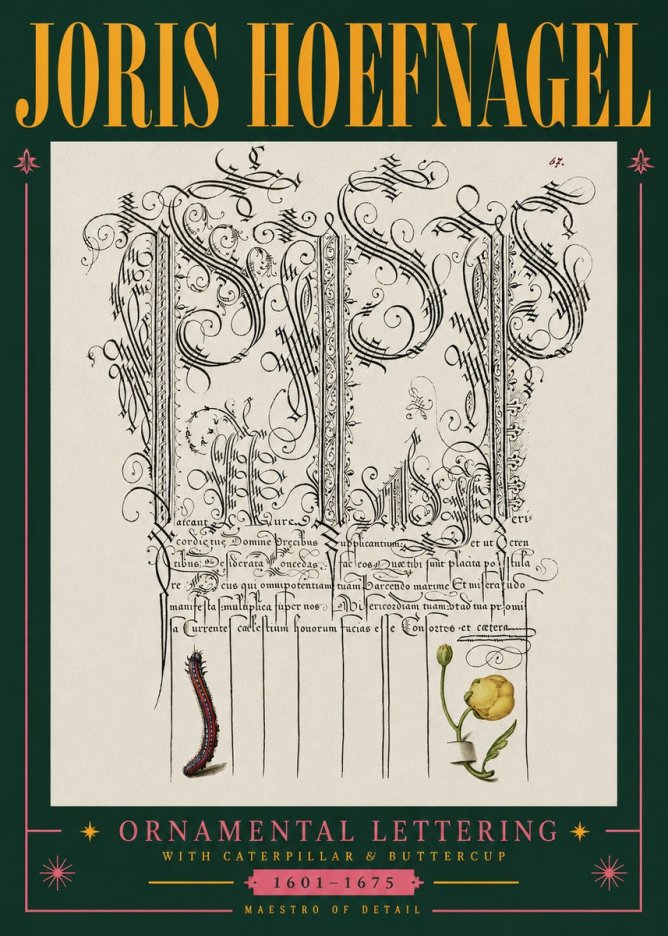 Joris Hoefnagel Ornamental Calligraphy with Caterpillar and Buttercup No5 - Juliste