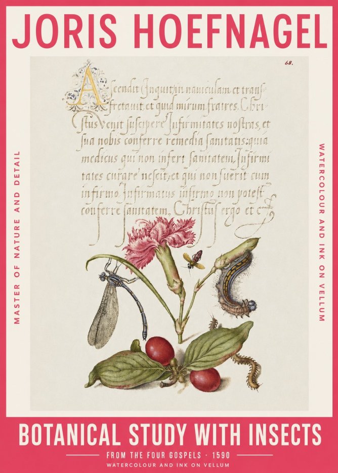 Joris Hoefnagel Botanical Study with Insects No2 - Juliste