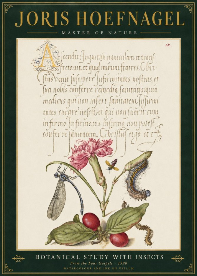 Joris Hoefnagel Botanical Study with Insects No3 - Juliste